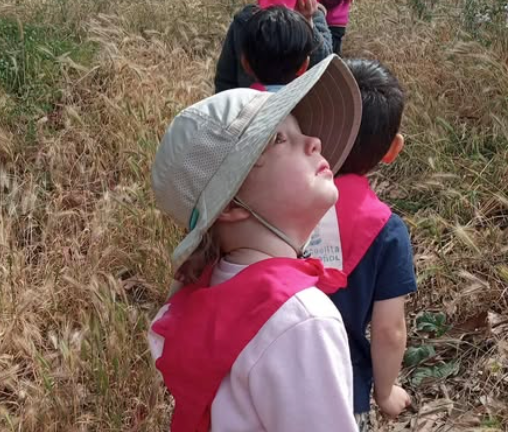 screenshot 2025 12 29 at 5.21.44 pm