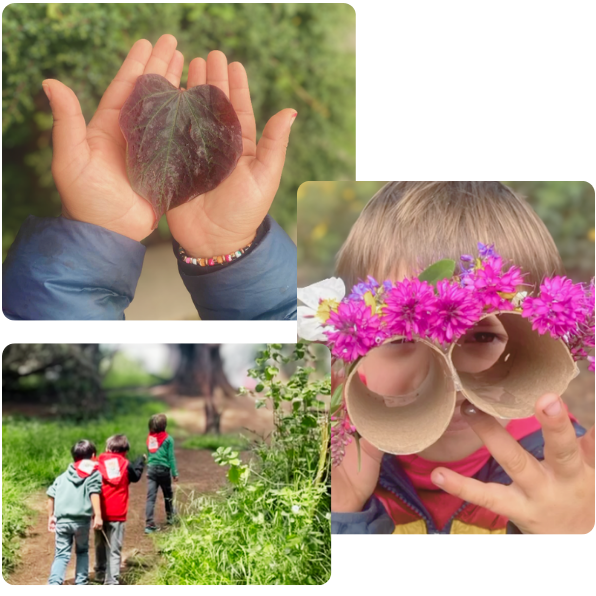 imágenes pag web copy