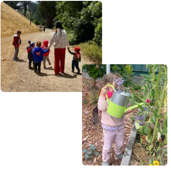 imágenes pag web community