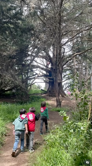 screenshot 2025 12 29 at 5.25.40 pm