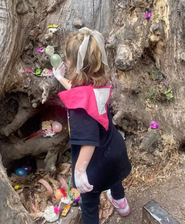 screenshot 2026 01 27 at 10.43.01 am